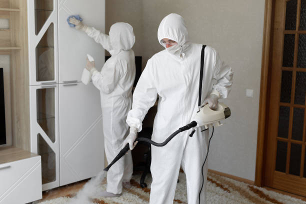 Best Toxic Mold Removal  in Sierra Ridge, CO