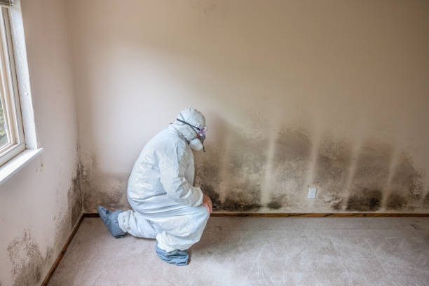 Best Mold Testing  in Sierra Ridge, CO